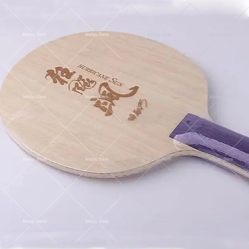 Original DHS Hurricane Sa Tabl - Table Tennis Champion 评论和价格