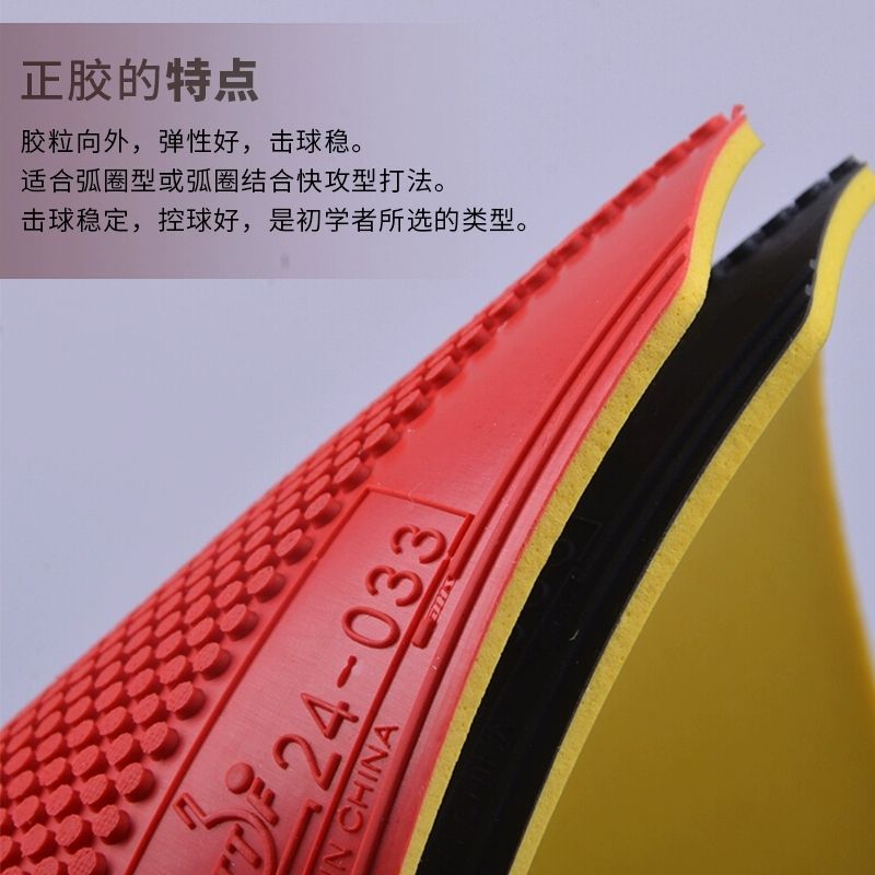 Original DHS Dragon Shadow Tab - Table Tennis Games 评论和价格
