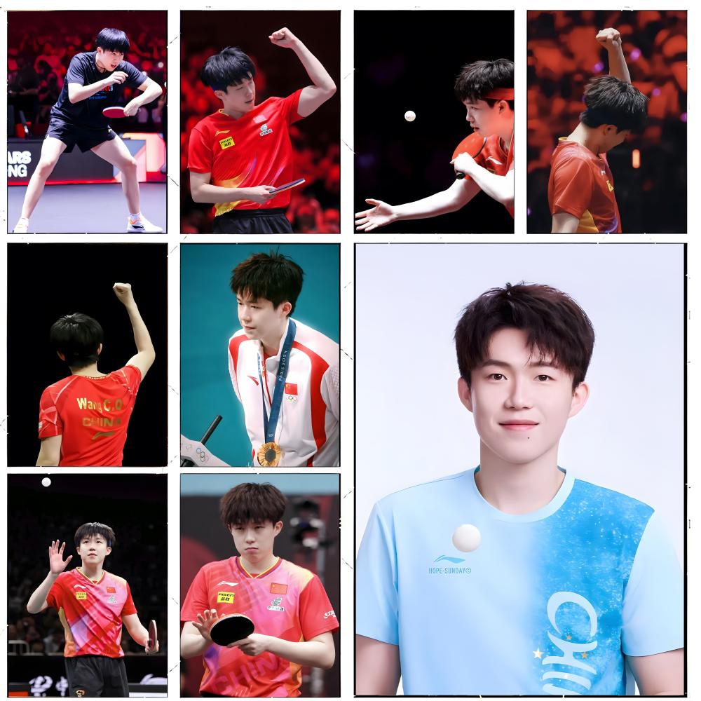 Table Tennis Champion Wang Chu - Table Tennis Champion 评论和价格